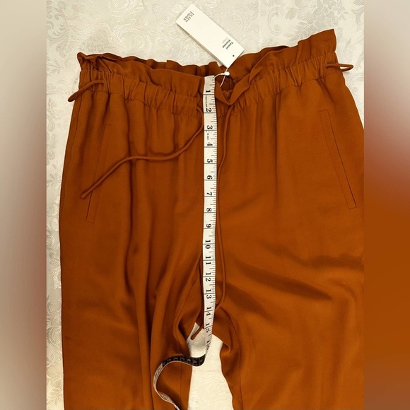 Eileen Fisher MUSK Tencel/Viscose Crepe Straight Pant Size PM $238 NWOT - Picture 7 of 7